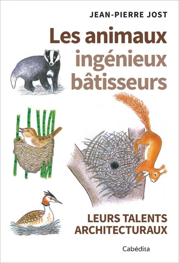 Les animaux ingénieux bâtisseurs leurs talents architecturaux