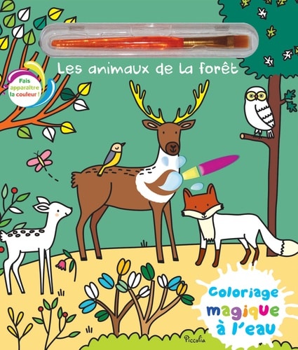 Pinceau magique – Les petites bêtes – Livre Coloriage magique à l'eau avec  un pinceau – À partir de 3 ans