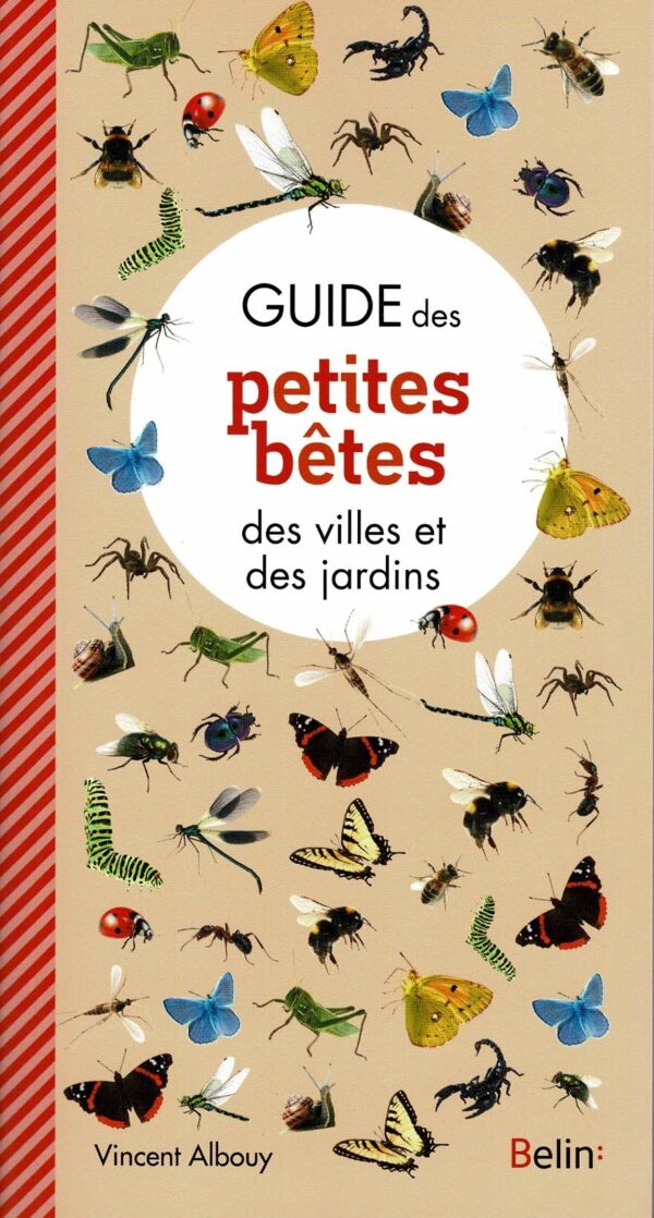 Guide des petites bêtes des villes et des jardins