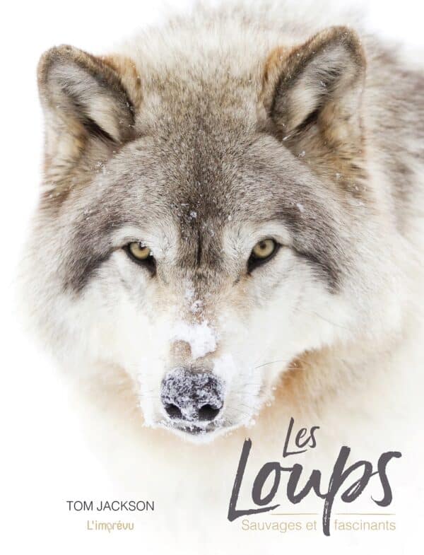 Les loups - Sauvages et fascinants