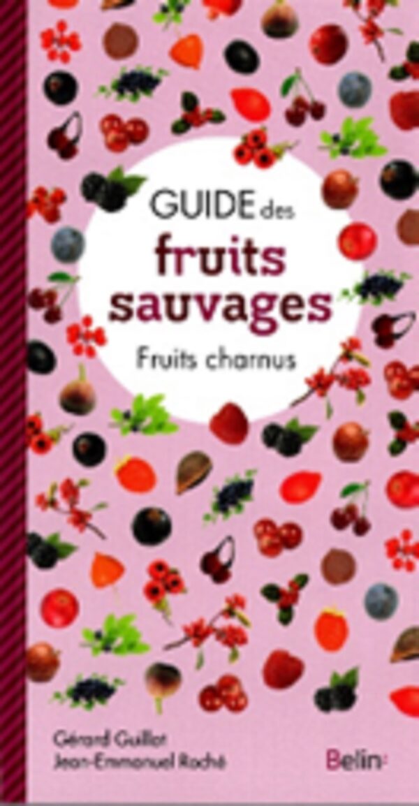 Guide des fruits sauvages - Fruits charnus